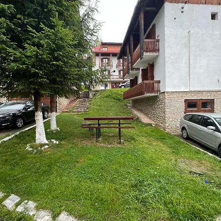 Complex De Aur Poiana *