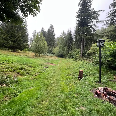 Apartament Complex De Aur Poiana *