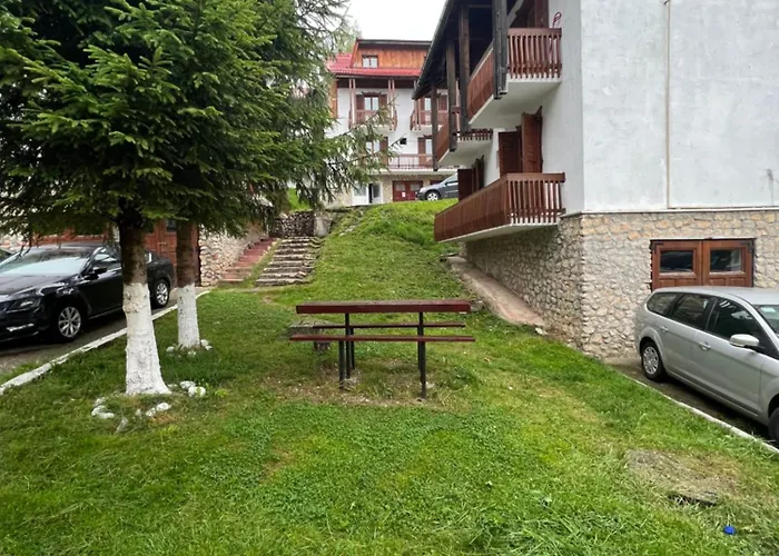 Complex De Aur Poiana *