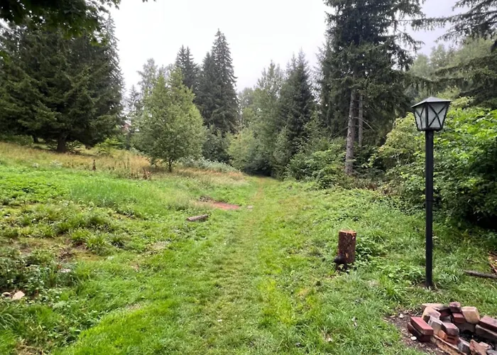 Apartment Complex De Aur Poiana *