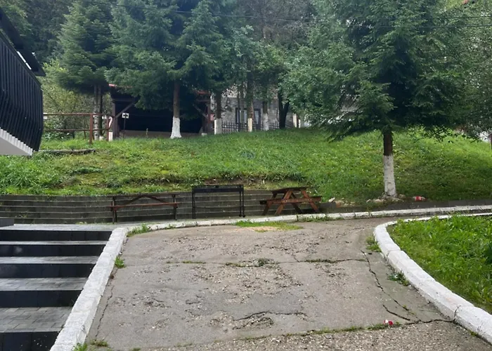 Complex De Aur Poiana Apartment *