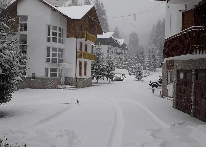 Complex De Aur Poiana Apartment Brasov